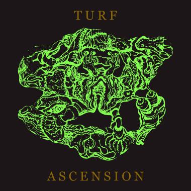 Bubblemath -  Turf Ascension
